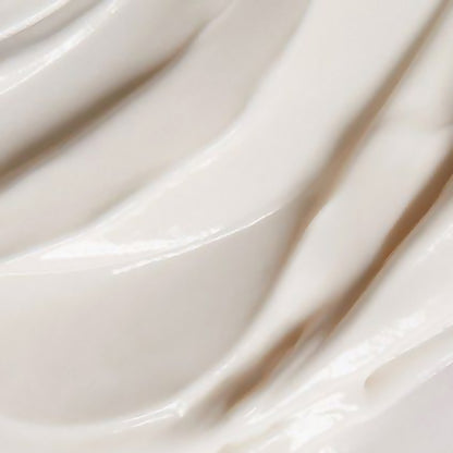 Overnight Cell Renewal Cream